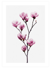 Manolya - Art Print